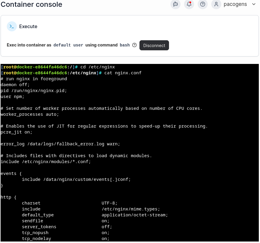 Página web sencilla con Nginx Proxy Manager